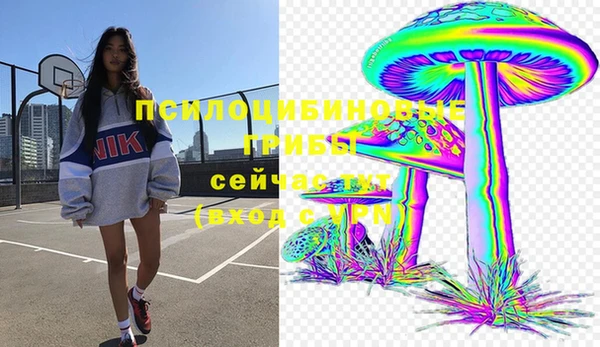 прущие грибы Балахна