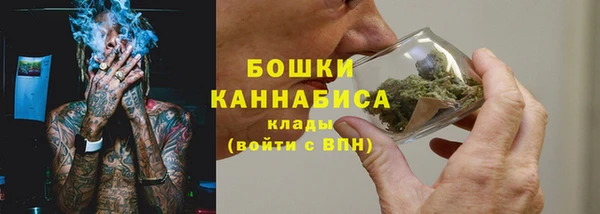 прущие грибы Балахна