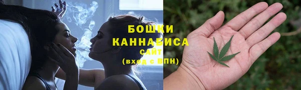 стаф Баксан