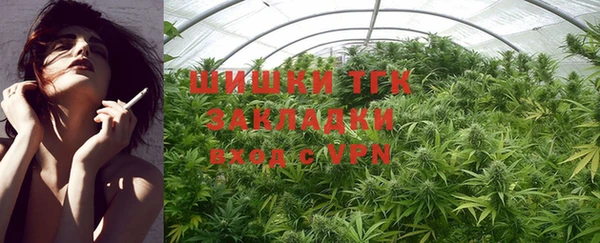 прущие грибы Балахна