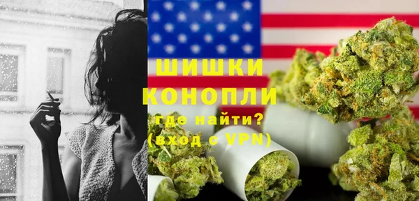 прущие грибы Балахна