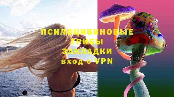стаф Баксан