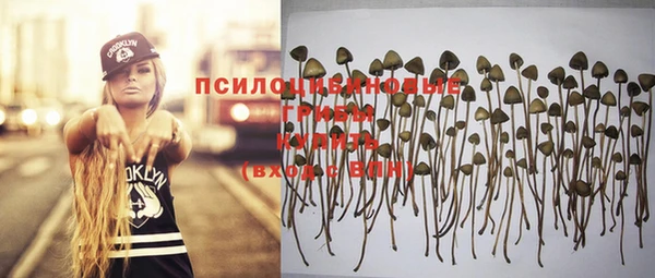 стаф Баксан