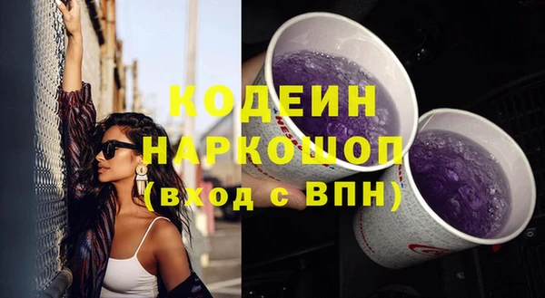 прущие грибы Балахна