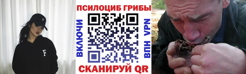 гидра tor  Усть-Лабинск  Галлюциногенные грибы мицелий 